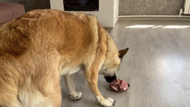 На лице удовольствие от мясной субботы смотреть онлайн