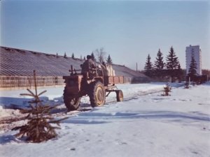 Выращивание цветов в закрытом грунте. СССР 1973год