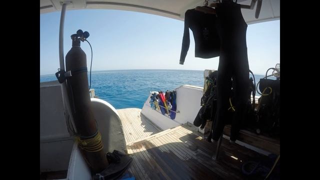 Marsa Alam 2016 - Wadi el Gimal смотреть онлайн