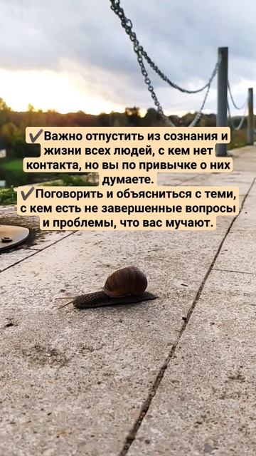 ‼️ЧТО ВАЖНО СДЕЛАТЬ ДО 🌚#ЗАТМЕНИЯ 14 октября 2023 года #коридорзатмений2023 #14октября #астрология смотреть онлайн