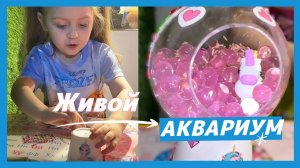 Живой аквариум своими руками