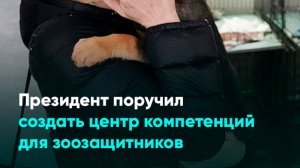 Президент поручил создать центр компетенций для зоозащитников