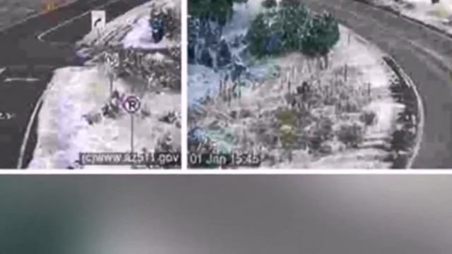 непонятные существа в кадре смотреть всем! смотреть онлайн