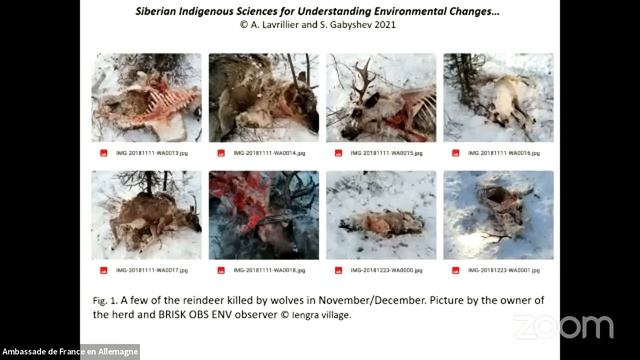 Perceiving Arctic Change: climate, society and sustainability смотреть онлайн