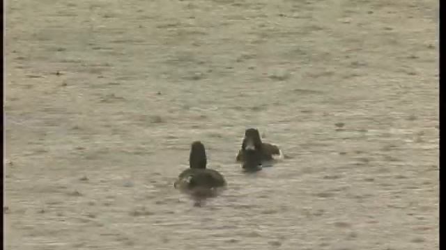 Помощь беженцам смотреть онлайн