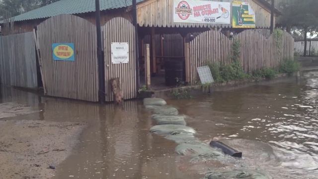 Бывший пляж Дельфин. 18 августа