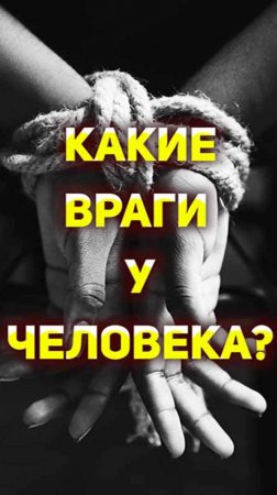 Какие есть враги у человека?