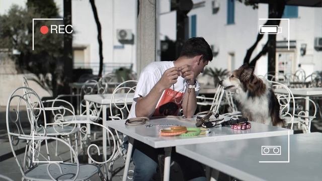 КАКОЙ ОШЕЙНИК ДЛЯ СОБАКИ ЛУЧШЕ? 🐕 Все про ошейники, безопасность, какие бывают, материал, размер 🐩