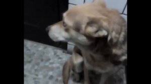 Марс провинился