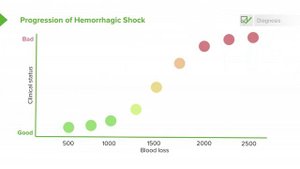 2.06 Hemorrhagic Shock- Diagnosis