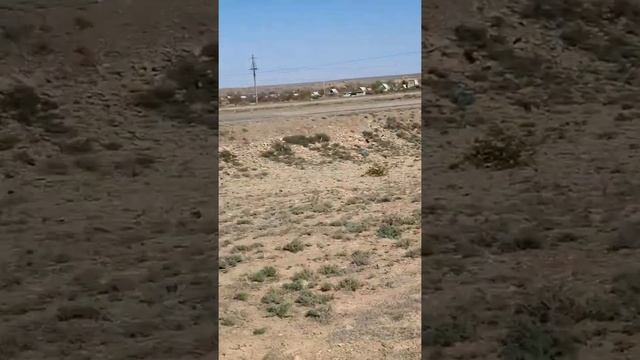 Несанкционированная свалка смотреть онлайн