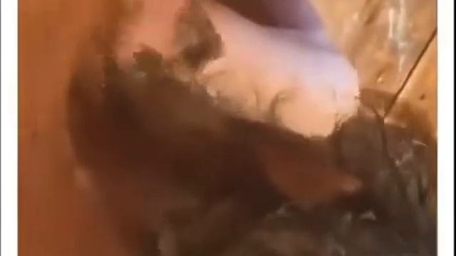 Помог дедушке красавчик смотреть онлайн