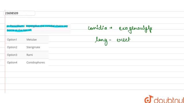 In Penicillium / Aspergillus the conidial chains are borne at the tips of смотреть онлайн