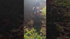 Мотоблок с передним адаптером культивация