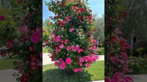 Воин -  12-19-7 - кармический хвост в матрице судьбы