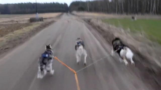 rower 4 sobota смотреть онлайн