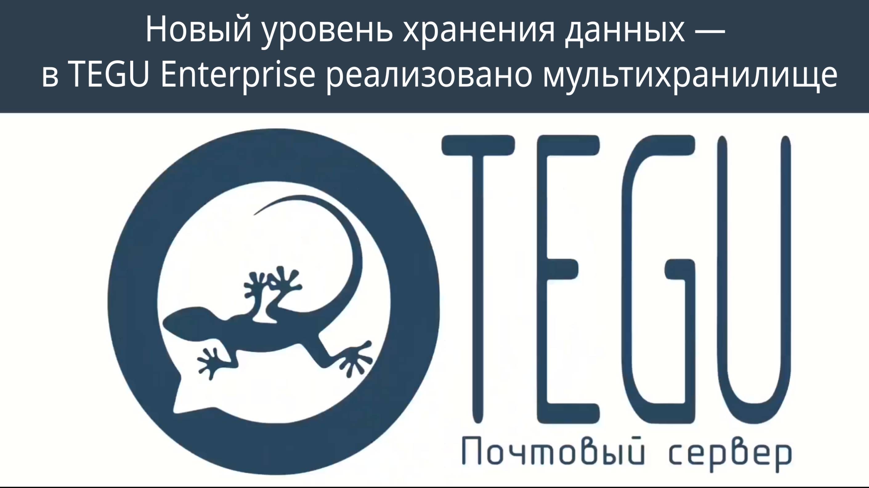 Новый уровень хранения данных — в TEGU Enterprise реализовано мультихранилище