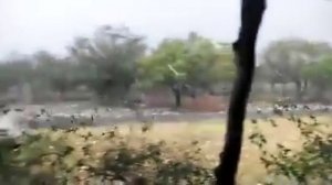 Это происходило вчера вечером в 100 км от Усть - Каменогорска в 17.00 после тарнадо образовался шар