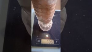 Живой вес мясных Дмитриевских перепелов от Татьяны