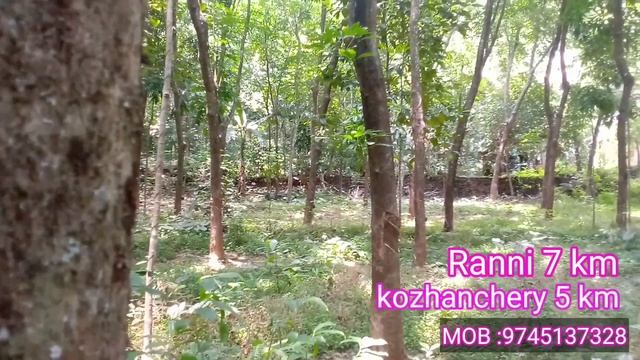 1 ACRE 25 CENT +HOUSE IN AIYROOR KOZHENCHERY I 24 KERALA  PROPERTIES I 221 th video смотреть онлайн
