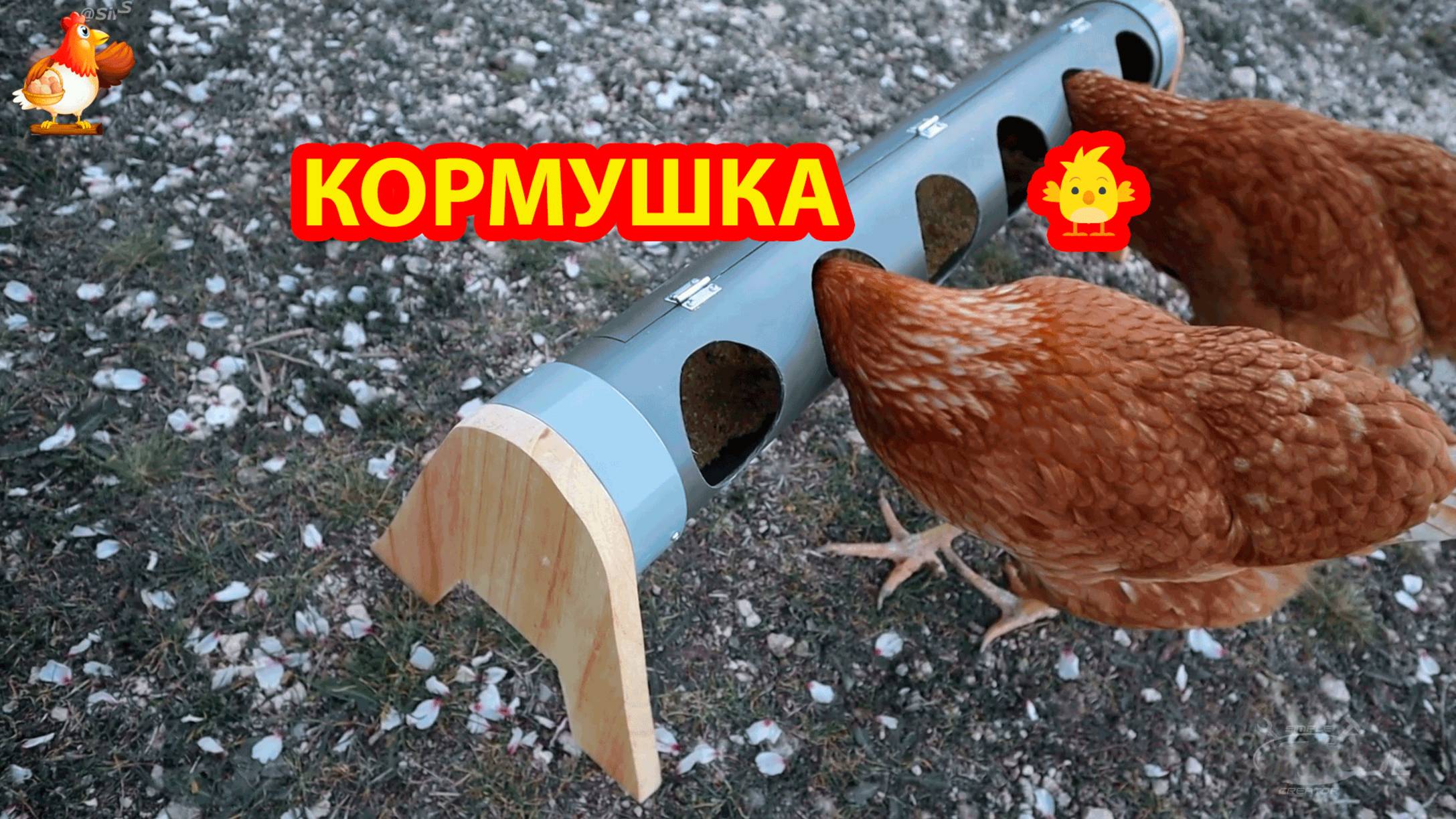 Кормушка для кур несушек сделана из трубы с откидной крышкой  💦🐓❣️