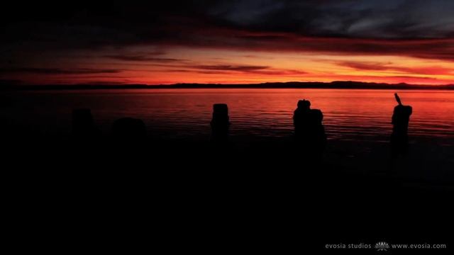 66701501.mov смотреть онлайн