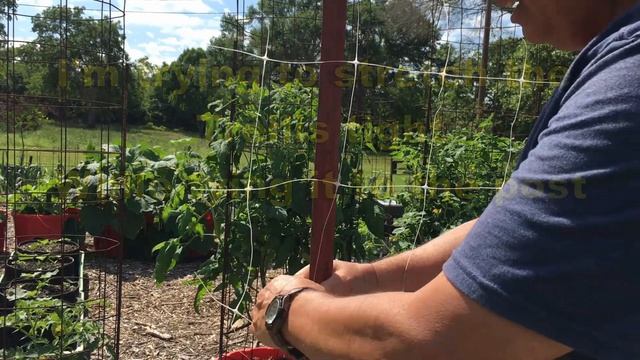 FASTEST AND EASIEST WAY TO TRELLIS CUCUMBERS AND POLE BEANS - HORTONOVA TRELLIS SYSTEM - HOSS TOOLS