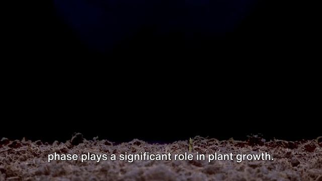 The Magic of Moon Gardening: Planting by the Lunar Phases смотреть онлайн