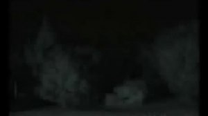 Привидения,призраки и демоны.