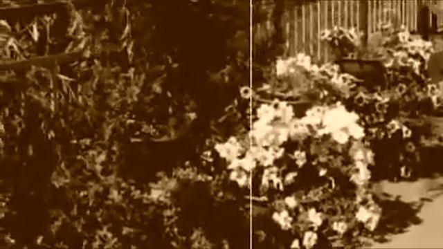 Мой «Хип-хоп»! :) смотреть онлайн