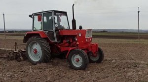 Культивація юмз!!! Спогади 2022 року!