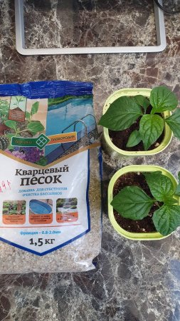 ОТЛИЧНАЯ ДОБАВКА В ГРУНТ ДЛЯ РАССАДЫ!