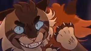 Коты-воители ♥️