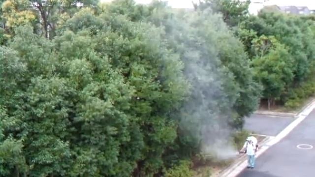 MD180DX смотреть онлайн