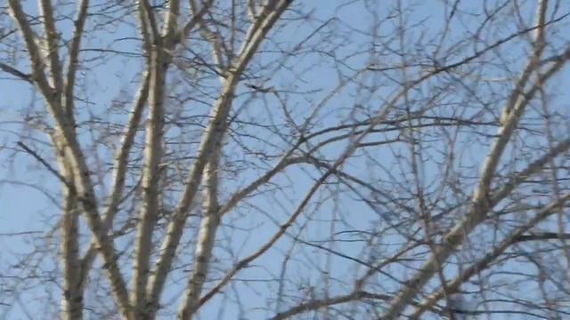 Январский рейд #17 (Угарный , с Плутоном ч.4) смотреть онлайн