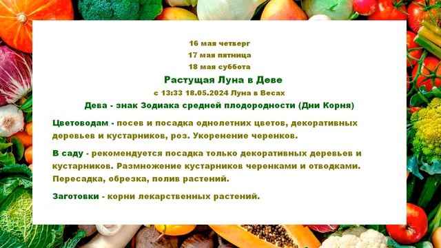 Лунный посевной календарь на май 2024 года для садоводов и огородников