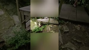 Крабовое ущелье, продолжение отдыха Лазаревское
