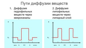 Термодинамика неравновесных процессов
Лекция "Перенос через мембраны"