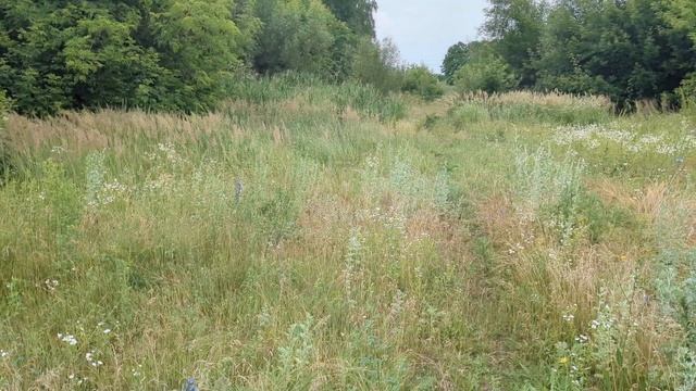 Цели и последствия плановой девальвации рубля. смотреть онлайн