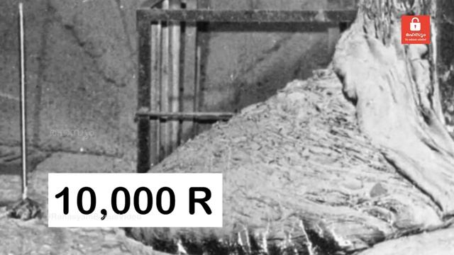 The elephant foot chernobyl disaster ലോകത്തിലെ ഏറ്റവും അപകടകാരിയായ വസ്തു Malayalam | Rahasyam смотреть онлайн