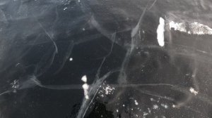 Аргази, февраль 2025