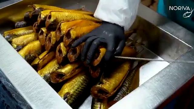 NEPTUN работа на рыбно мясном комбинате смотреть онлайн