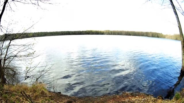 Как Машка в колбасино побывала! смотреть онлайн