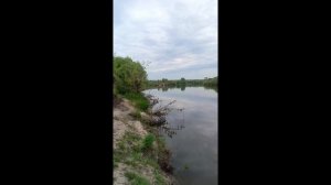 Через лес на Суру в июне .