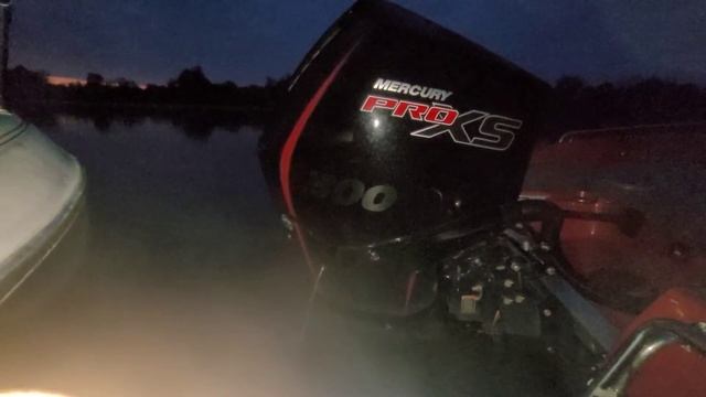 MERCURY PRO XS 300 /LS #mercury_pro_xs_300 смотреть онлайн