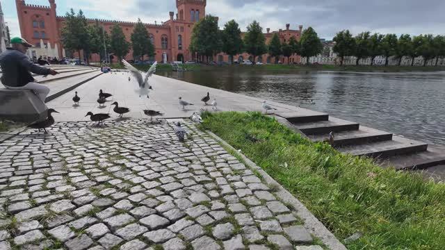 СКРЫТАЯ ЖЕМЧУЖИНА В ГЕРМАНИИ – ШВЕРИН – Живописная летняя прогулка по городу в 4K