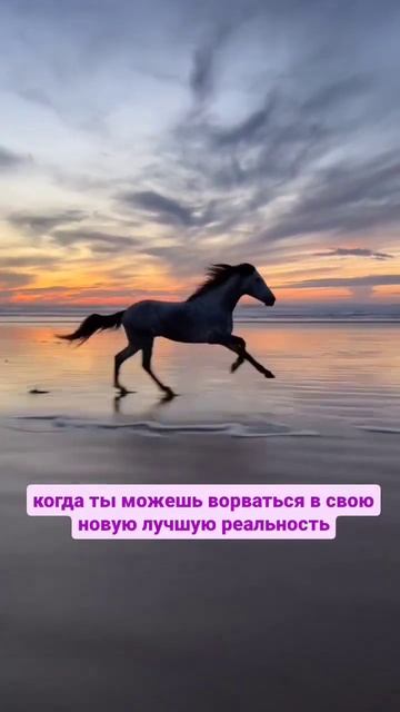 Коридор затмений 25.03 - 8.04 