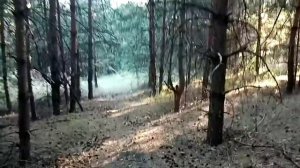 Русякин родник. Неверкино. Пензенская область. Последние дни августа.