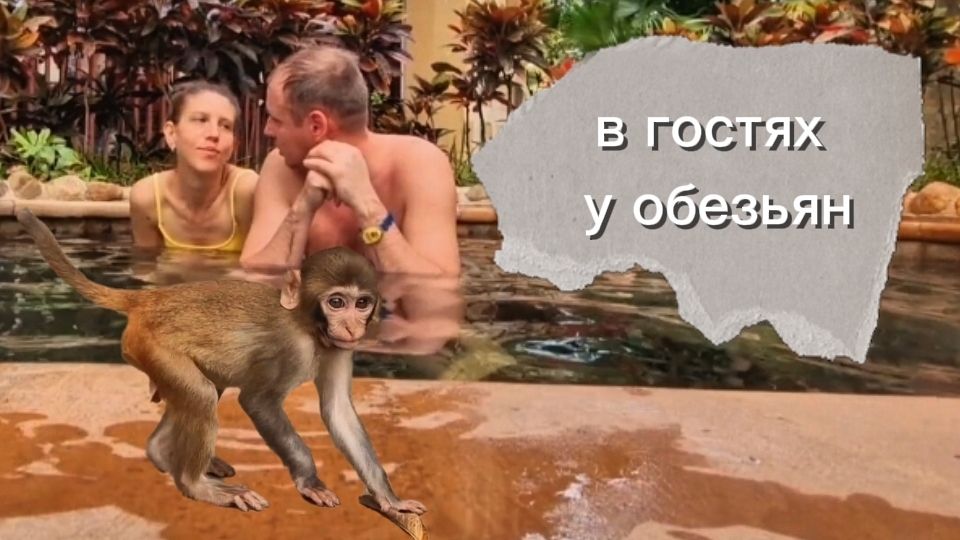 Остров обезьян на о.Хайнань