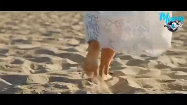 BLACK & WHITE FESTIVAL  Miami 19th december  2020 смотреть онлайн